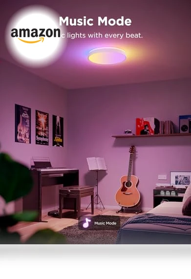 Smart Ceiling Light — Ceiling, Govee