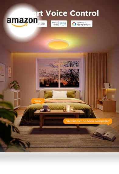 Smart Ceiling Light — Ceiling, Govee