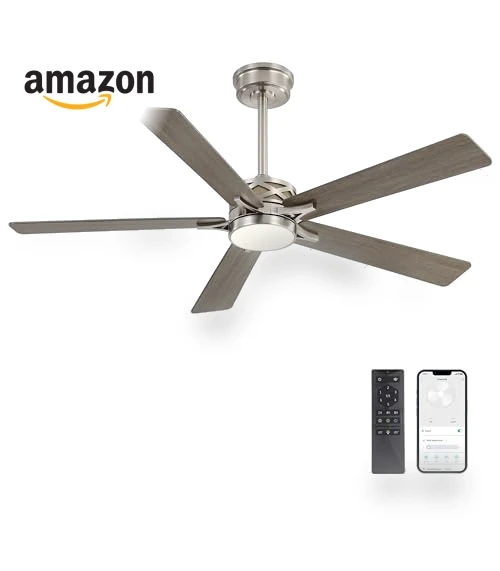 Smart Ceiling Fan with Lights — Ceiling Fan Wall Controls, WINGBO