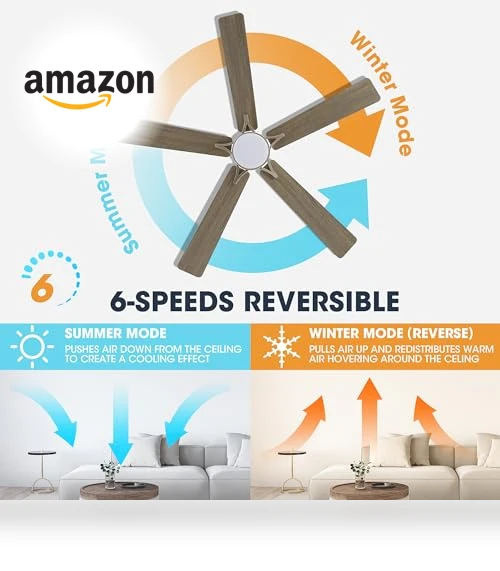 Smart Ceiling Fan with Lights — Ceiling Fan Wall Controls, WINGBO