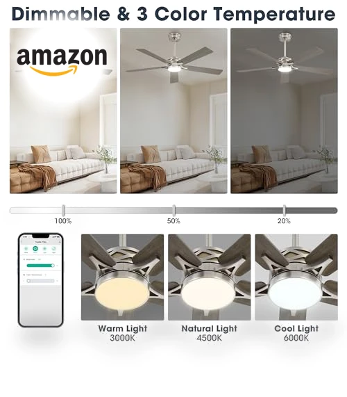 Smart Ceiling Fan with Lights — Ceiling Fan Wall Controls, WINGBO