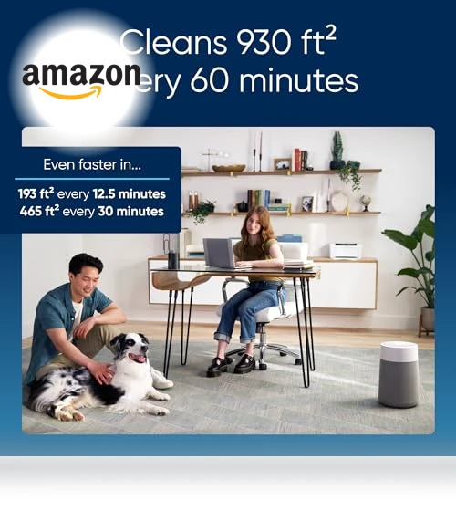 HEPASilent Air Purifier — HEPA Air Purifiers, BLUEAIR