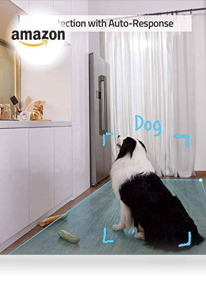 Indoor Security Camera — Cameras & Monitors, eufy