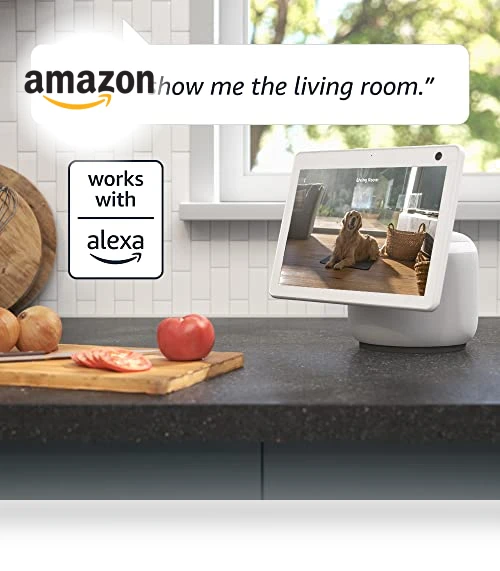 Pan-Tilt Camera — Smart Home Security, Blink