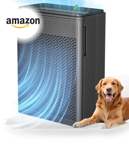 Air Purifier for Home with HEPA Filter — HEPA Air Purifiers, YARIKI