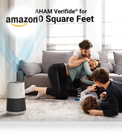 Air Purifier for Bedroom — HEPA Air Purifiers, Winix