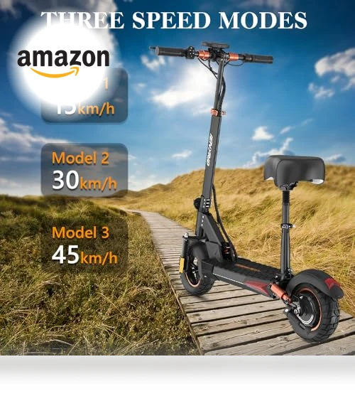 Electric Scooter with Seat — Push Scooters, IENYRID