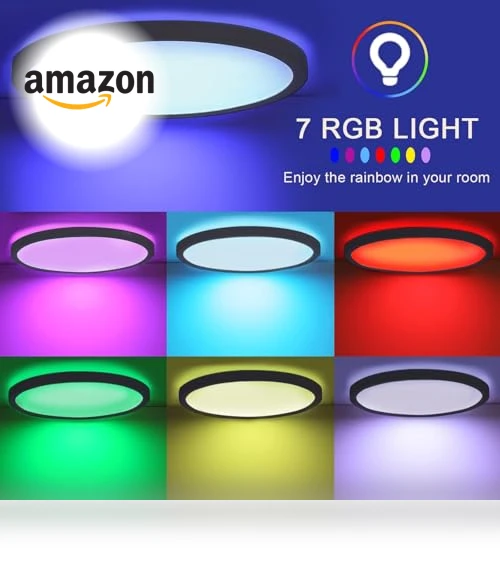 Flush Mount LED Ceiling Light — Overhead Lighting