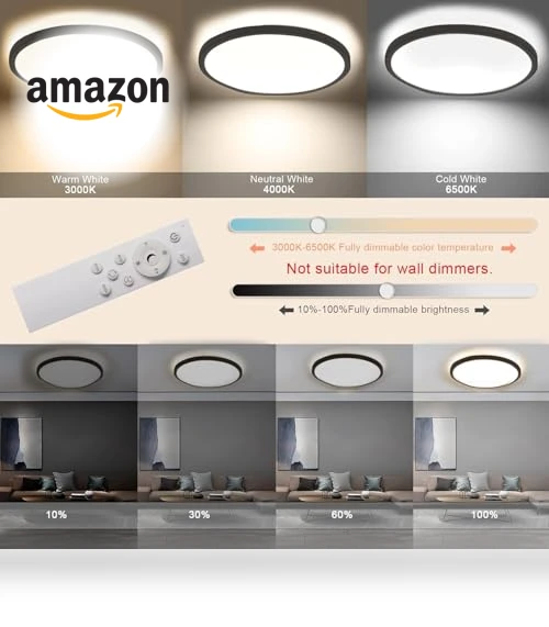 Flush Mount LED Ceiling Light — Overhead Lighting