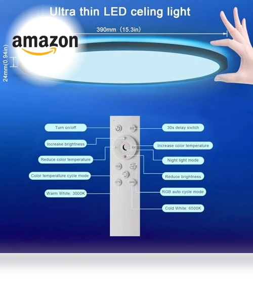 Flush Mount LED Ceiling Light — Overhead Lighting