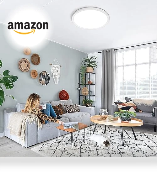 LED Flush Mount Ceiling Light Fixture — Overhead Lighting, SunRider