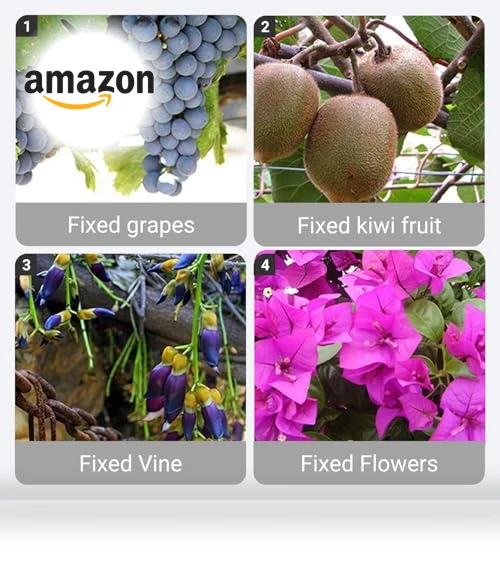 Reusable Plastic Plant Clips for Climbing Plants — , FKMEE