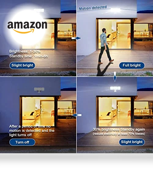 Smart Security Light Motion Sensor — Outdoor Security & Flood Lighting, EMANER