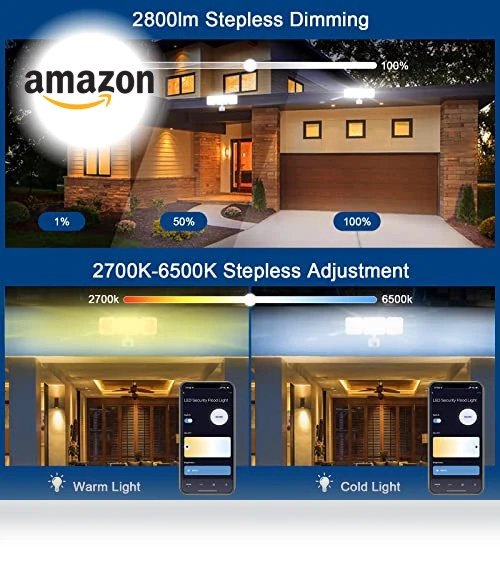 Smart Security Light Motion Sensor — Outdoor Security & Flood Lighting, EMANER