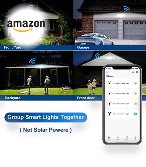 Smart Security Light Motion Sensor — Outdoor Security & Flood Lighting, EMANER