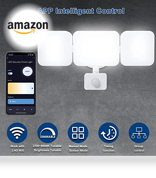 Smart Security Light Motion Sensor — Outdoor Security & Flood Lighting, EMANER