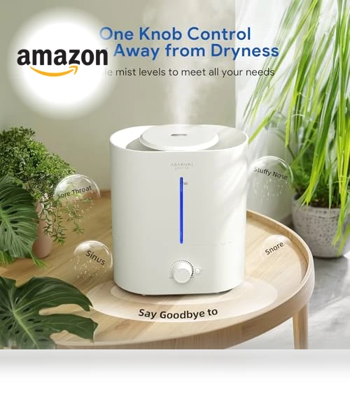 4L Cool Mist Humidifier with Diffuser — Air Moisturizers, ASAKUKI