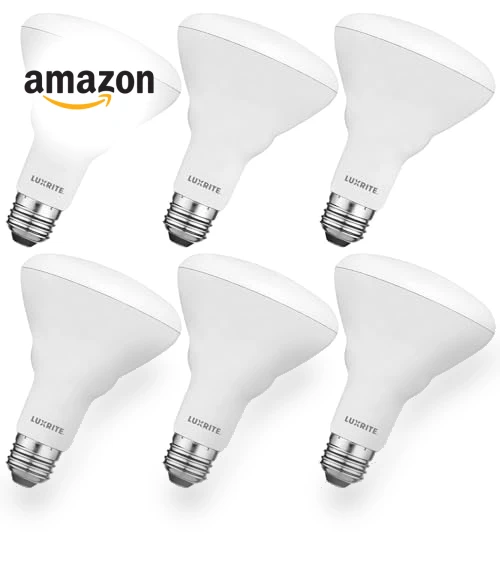 6-Pack BR30 LED Bulb — Compact Fluorescent, LUXRITE