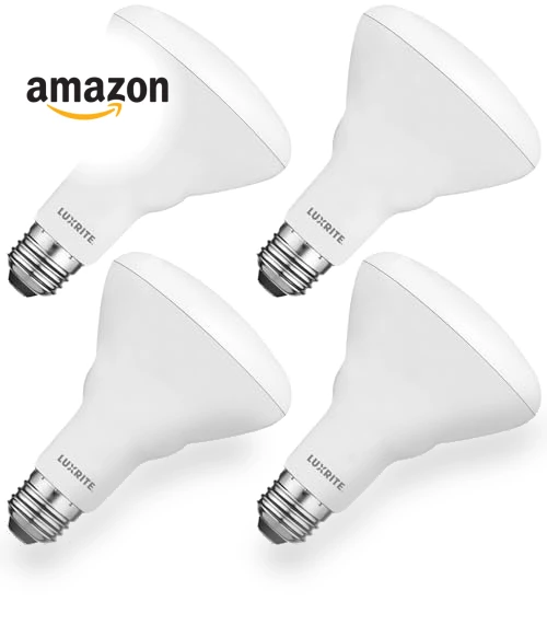 BR30 LED Bulb 4-Pack — Compact Fluorescent, LUXRITE