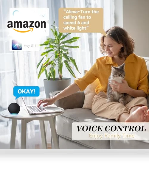 Smart Ceiling Fan with Lights — Ceiling Fan Wall Controls, SMAAIR