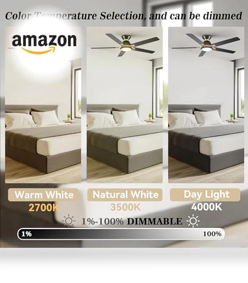 Smart Ceiling Fan with Lights — Ceiling Fan Wall Controls, SMAAIR
