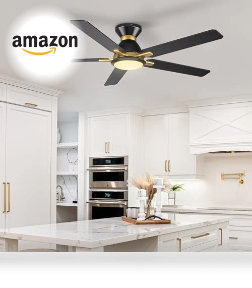 Smart Ceiling Fan with Lights — Ceiling Fan Wall Controls, SMAAIR