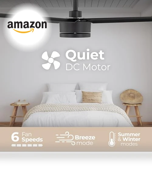 Smart Indoor and Outdoor 52in 3-Blade Ceiling Fan — Ceiling Fans & Accessories, East Grove Home