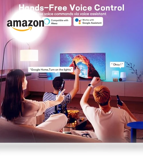 Smart Light Bulbs with Remote — LED, VvLons