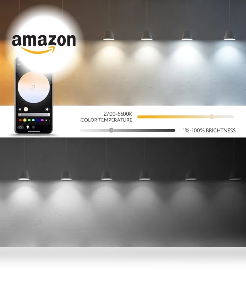 Smart Light Bulbs with Remote — LED, VvLons