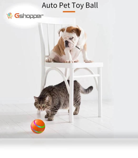 Intelligent Remote Control Pet Toy Luminous Ball for Dog Training — Balls, O1