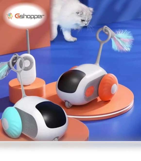 Intelligent Dual Mode Electric Gravity Running Car Cat Toy — Cat Playthings