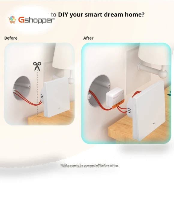 Single Fire Dual Control Smart On/Off Module Switch with Timing and Voice Control — Dimmer Switches, Sonoff