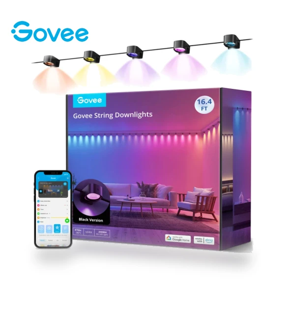 RGBIC String Downlights - Smart Lighting with Music Sync — Fiber Optics, Govee