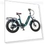 Master Electric Bike — Electric Self-Balancing Scooters, Fafrees