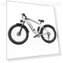 Fat Tire Electric Bike — Electric Self-Balancing Scooters, DUOTTS