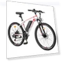 Electric Bike — Electric Self-Balancing Scooters, Fafrees