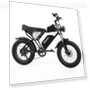 Electric Bike — Electric Self-Balancing Scooters, Ridstar