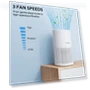 H13 True HEPA Air Purifier with Night Light — Electrostatic Air Purifiers, FULMINARE