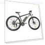 29 Inch CST Tire Electric Bike MTB Mountain Bike With App Control — Electric Self-Balancing Scooters, Eleglide