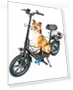 Electric Scooter with Seat — Electric Vehicles, Gyroor