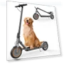 Folding Electric Scooter — Electric Vehicles, sigravy