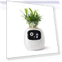 Smart Pet Planter Robot — Plants & Greenery, PLANTSIO