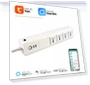 Smart Plug with Alexa Support — Smart Home Modules, Tuya