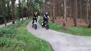 SAMEBIKE 20LVXD30-II best sale City Electric Foldabl Bike