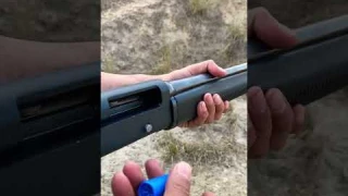 Repeater Shotgun 7 Bore #shorts #shotgun