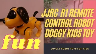 JJRC R19 Remote Control Robot Robot Dog Toy Electronic Pet Programmable Robot RC Robotic Stunt Puppy
