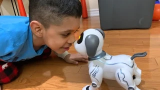 Pet ROBOT DOG, Remote Control Dog Toy for fun fyp