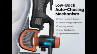 Back Pain Can‘t Wait!!!Newtral Ergonomic Office Chair With Fully Adaptive  Lumbar Support#shorts