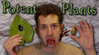 Betel Nut: Asia's Most Controversial Chew