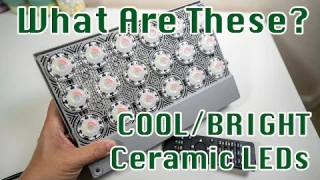 COOLEST RGB LED Flood Light | SGLEDs Ceramic LED Flood Light Review